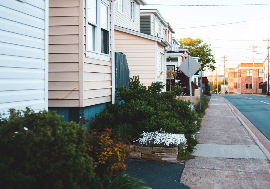 A tree-lined suburban street with houses, front gardens and a sidewalk